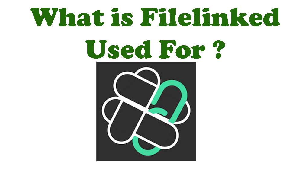You are currently viewing What is Filelinked Used For ?